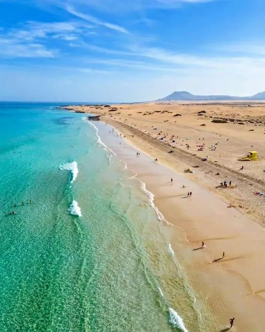 Central Corralejo With Terrace & Palm Trees 25Mb Wifi 아파트