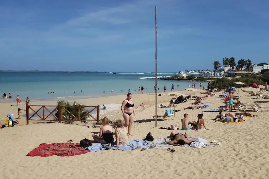 Central Corralejo With Terrace & Palm Trees 25Mb Wifi 0*,