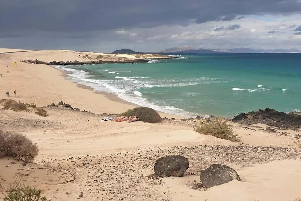 Central Corralejo With Terrace & Palm Trees 25Mb Wifi 아파트